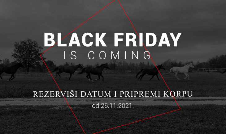 Black Friday is coming!