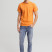 Muška pamučna polo majica